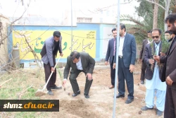 روز درختکاری