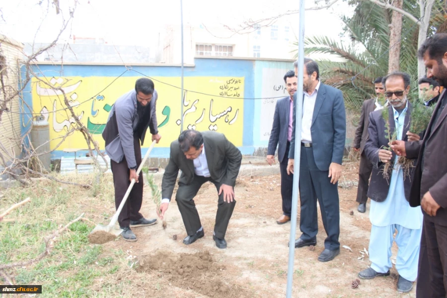 روز درختکاری