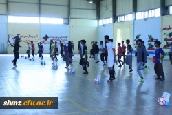 مسابقات ورزشی جام ورزشی ولایت