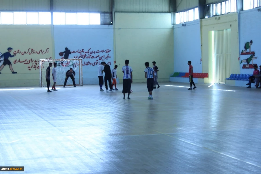 مسابقات ورزشی جام ورزشی ولایت