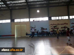 مسابقات ورزشی جام ورزشی ولایت