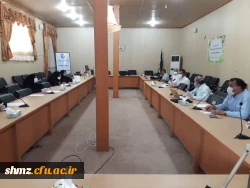 جلسه ویدیو کنفرانس درخصوص چگونگی برگزاری کلاسهای مجازی با حضور مسئولین پردیس رسالت، شهید مطهری و مدیران گروه در سالن شهید شوشتری 