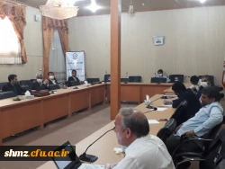 برگزاری جلسات گروه های آموزشی در خصوص  چگونگی برگزاری امتحانات پایان ترم 