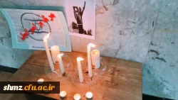 همبستگی جنبش بسیج اساتید ایران با جنبش اجتماعی نَفَس در آمریکا
 